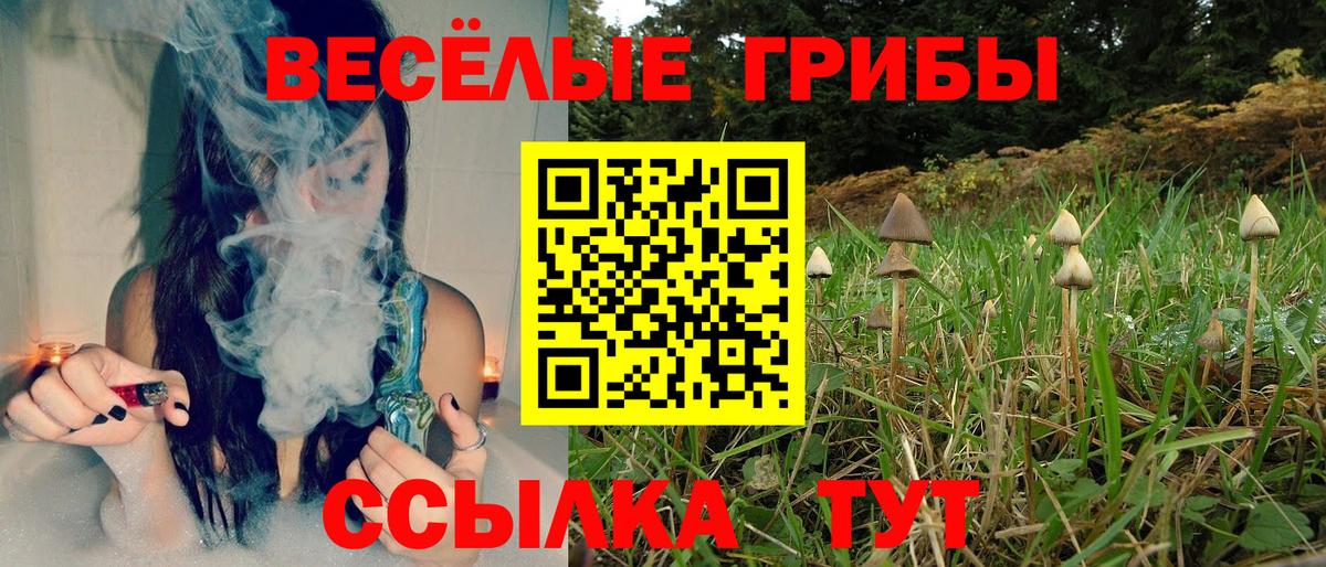 Псилоцибиновые грибы мицелий  Вход с VPN  Псилоцибиновые грибы Cubensis  Трёхгорный 